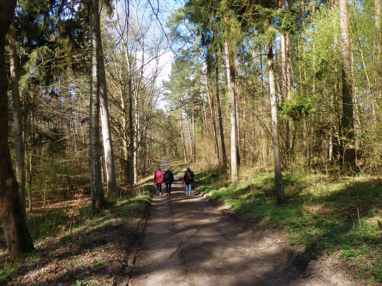 2015 04 17 - 11.00.06 - 057